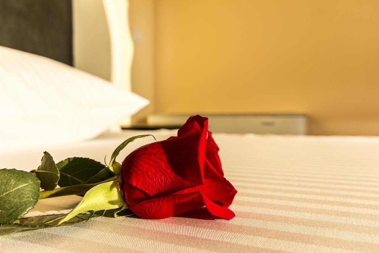 Miami Spa And Wellness Beograd Rom bilde